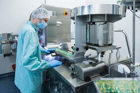 Food Processing Machine Overview: Understanding Components, Functions, and Working Basics